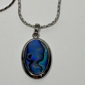 Necklace Abalone Pendant Silver Tone Chain 24”